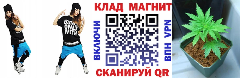 Виды наркотиков купить Липецк А ПВП  Кокаин  Псилоцибиновые грибы  Конопля  ГАШИШ 