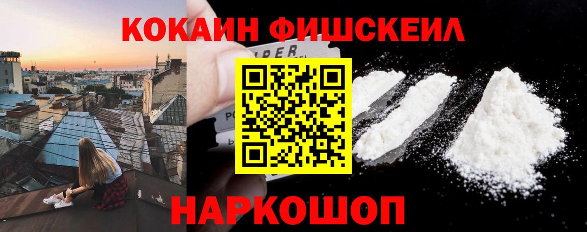 COCAIN Fish Scale  Вход с VPN  Липецк 