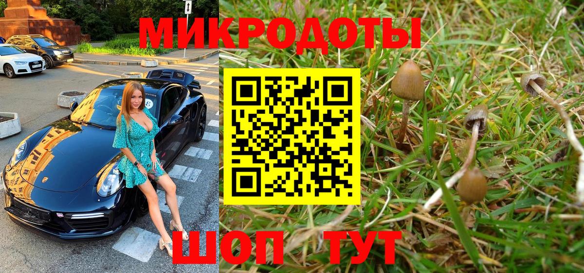 Псилоцибиновые грибы Psilocybe  Вход с VPN  Липецк  Псилоцибиновые грибы мухоморы 